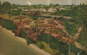 Aerial view of the Rose Garden at Germain's Nursery, Ethel Ave. near Victory Blvd., Van Nuys. 1940s?